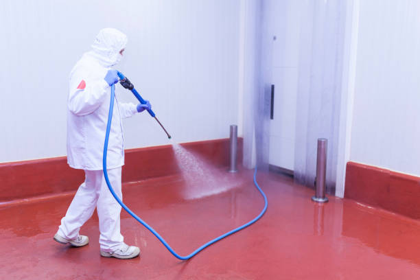 Best Boat and Dock Cleaning  in Arlington, OH